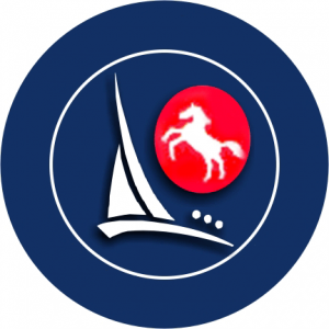 Medway Dragon fleet logo